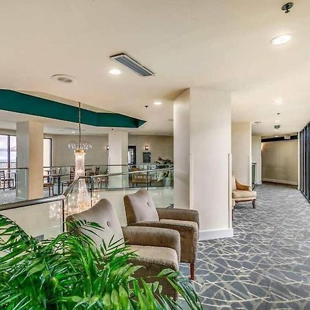 Upscale Oceanview 1Br Dog Friendly! 1104 Lejlighed Myrtle Beach Eksteriør billede